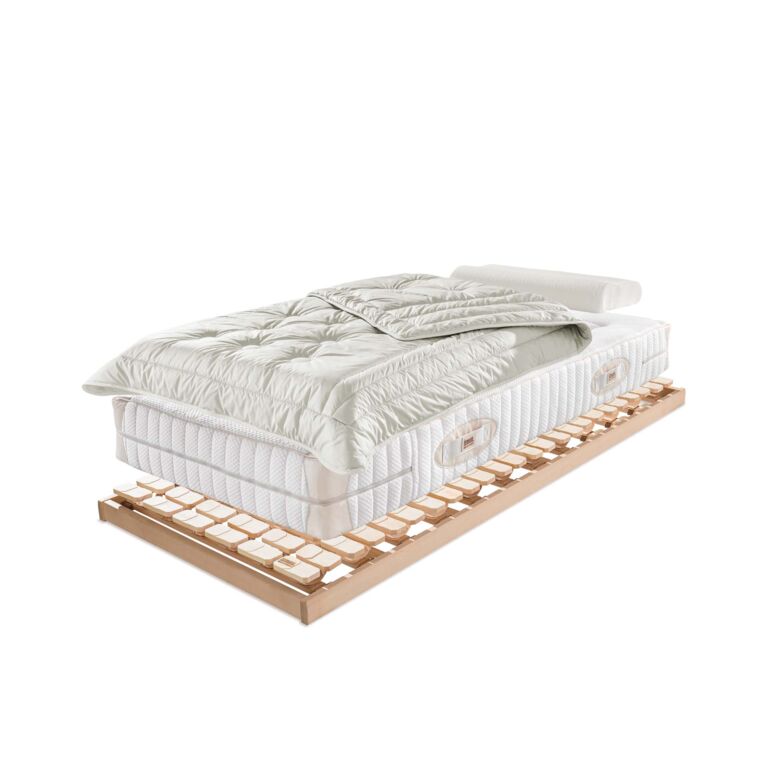 ERGO-NATURA-Z_ND_LADAKH_ERGOPILLO