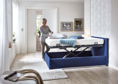 21236_17_Lindeo_2017_10