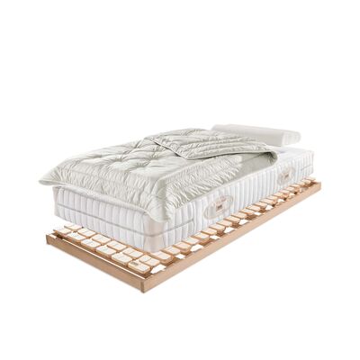 ERGO-NATURA-Z_ND_LADAKH_ERGOPILLO