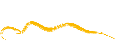 hintergrundelement-2-haug